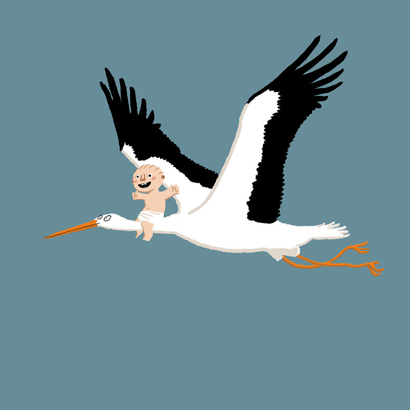 cigogne01-jobrown.jpg